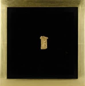 A pin on a black velvet framed